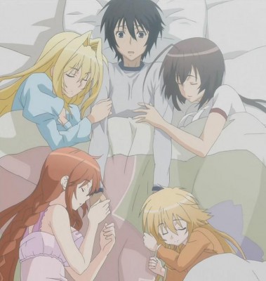 sekirei.jpg