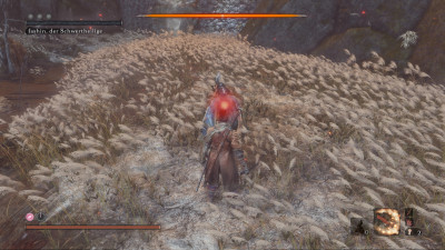Sekiro-Epic-Win-3.jpg